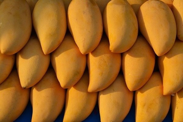 MANGO PASHTE